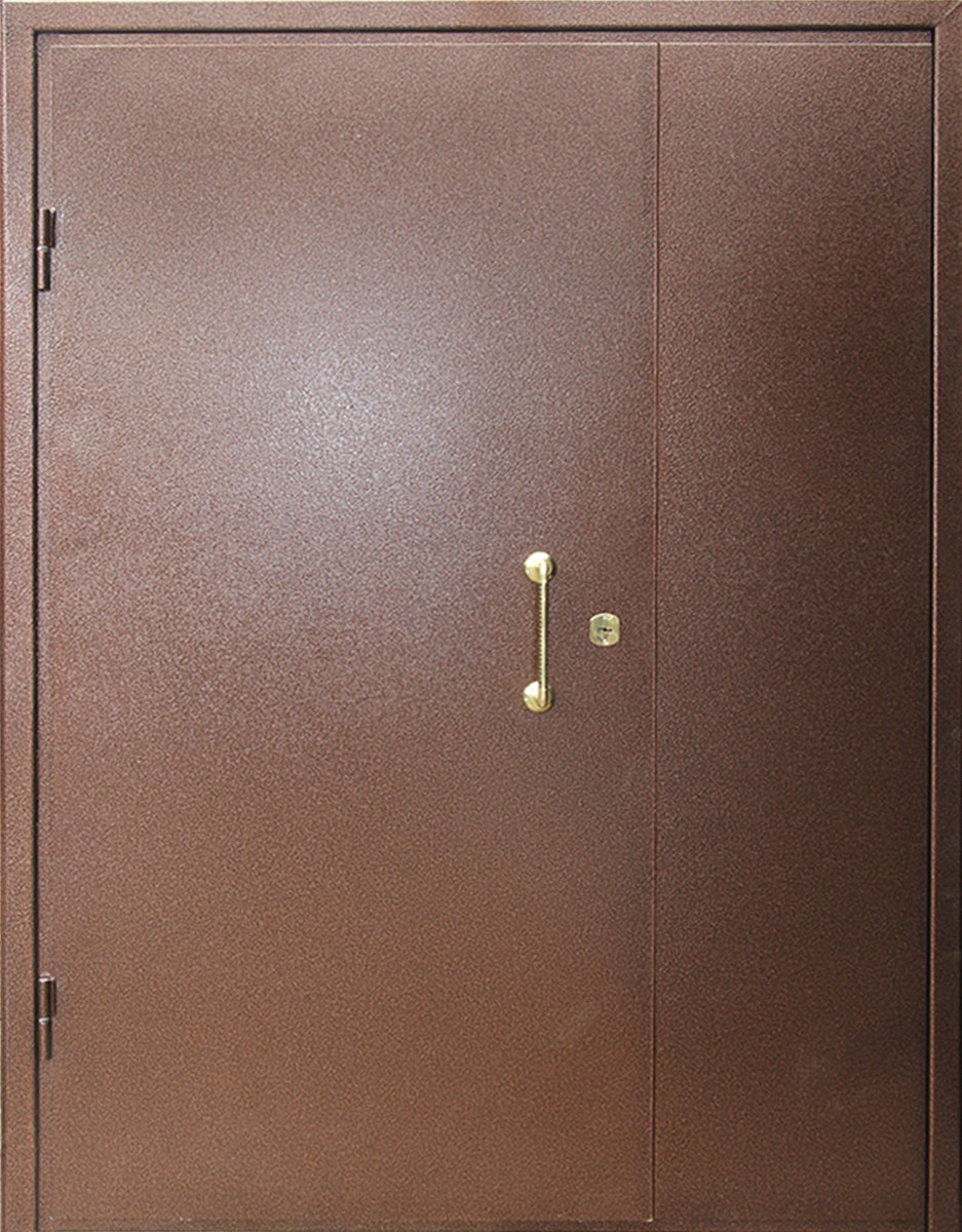 Железная тамбурная дверь